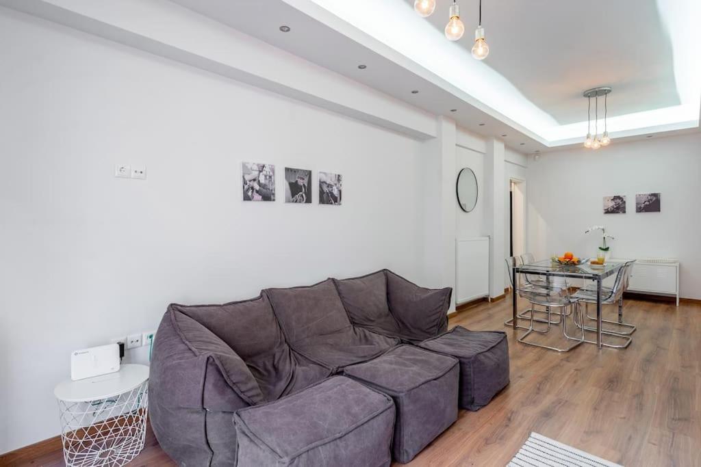 Modernised Athenian Apartment /W 2Br & 2Ba 외부 사진